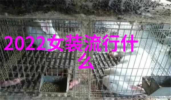 实用性与美观并重解读2022年春夏到冬季连衣裙演变趋势