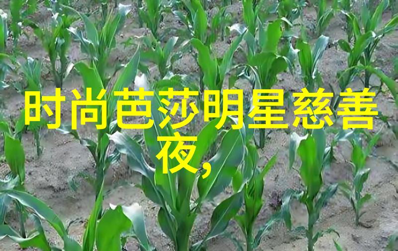 三国演义全集txt我和罗贯中的三国之旅