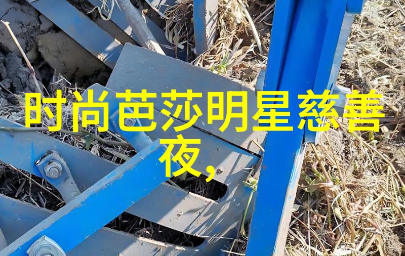 丁香婷婷六月综合交清情感深度探索与人生选择的矛盾融合