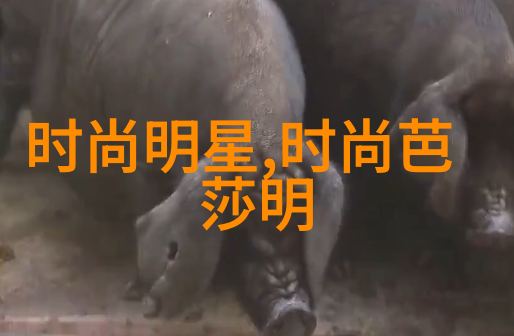 斜阳若影txt夏日温柔的光影交织