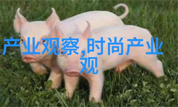 公与淑婷厨房一段猛烈的进出
