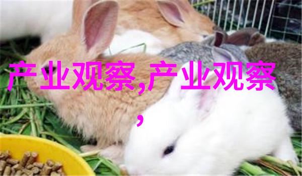不仅美观更有智慧学习如何选择适合自己的2021年度流行颜料组合