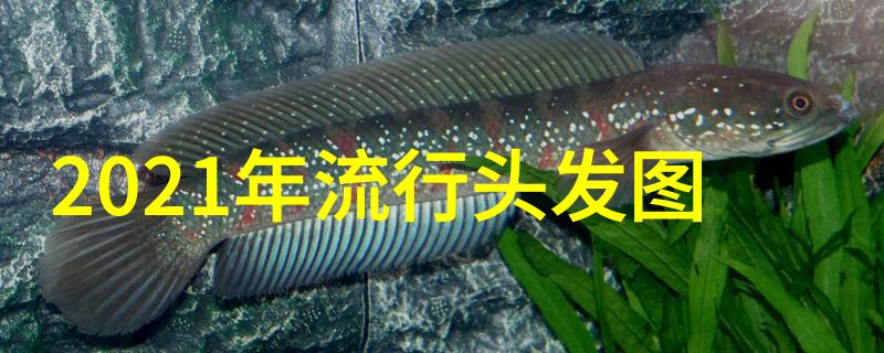 性妇VODAFONEWIFI精我家的WiFi密码都被小孩改成了这样了