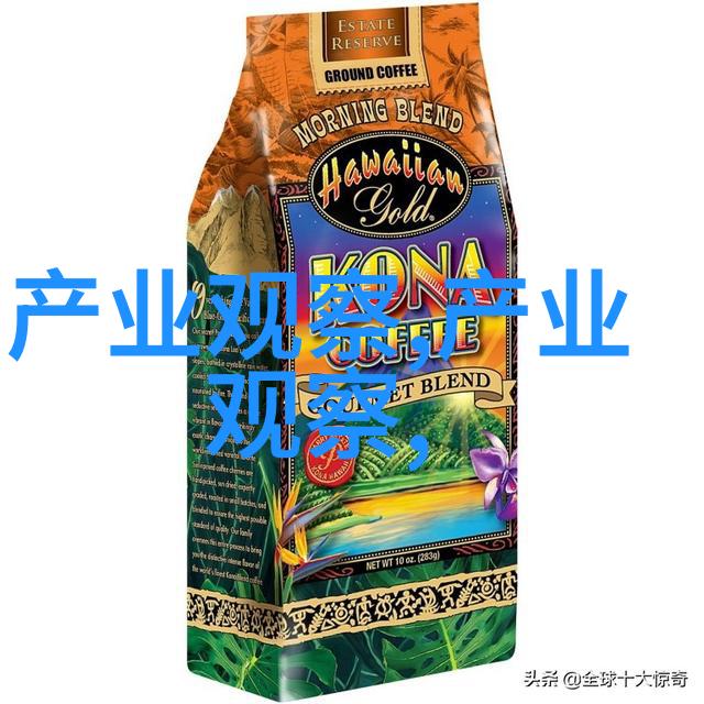 龙物记8833号遗迹的守护者