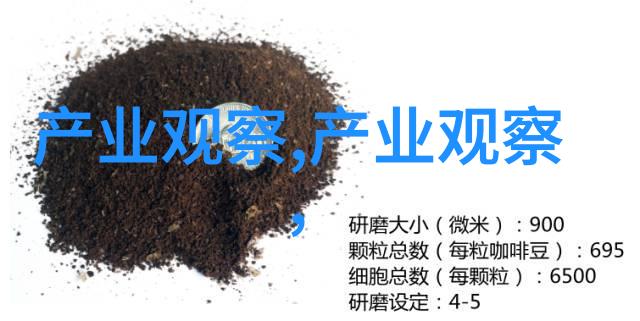 龙族的信仰与文化传承