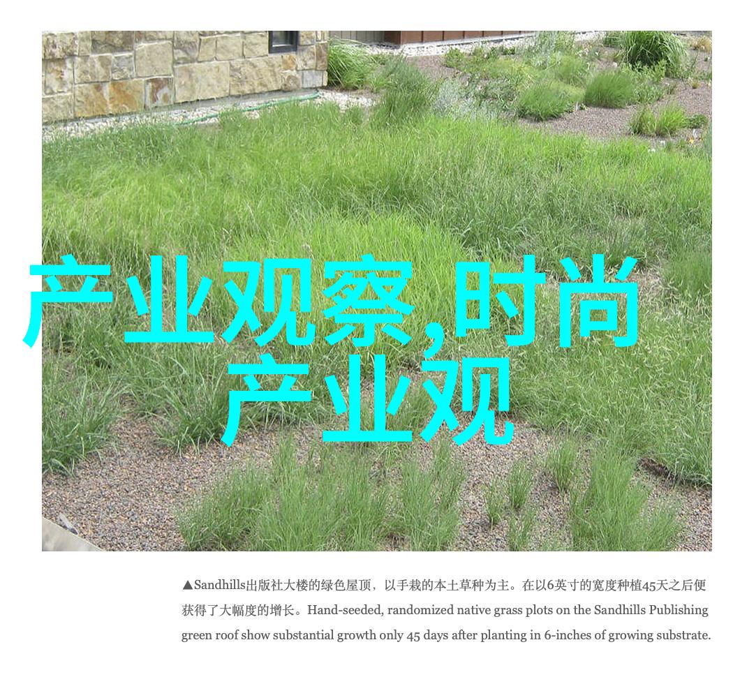封神问道行古风仙侠奇遇