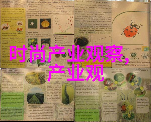 岁月不识人心记我这段曲折的人生路