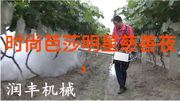 大肥波BBWWHBBWW探索奇异文明的起源与消亡