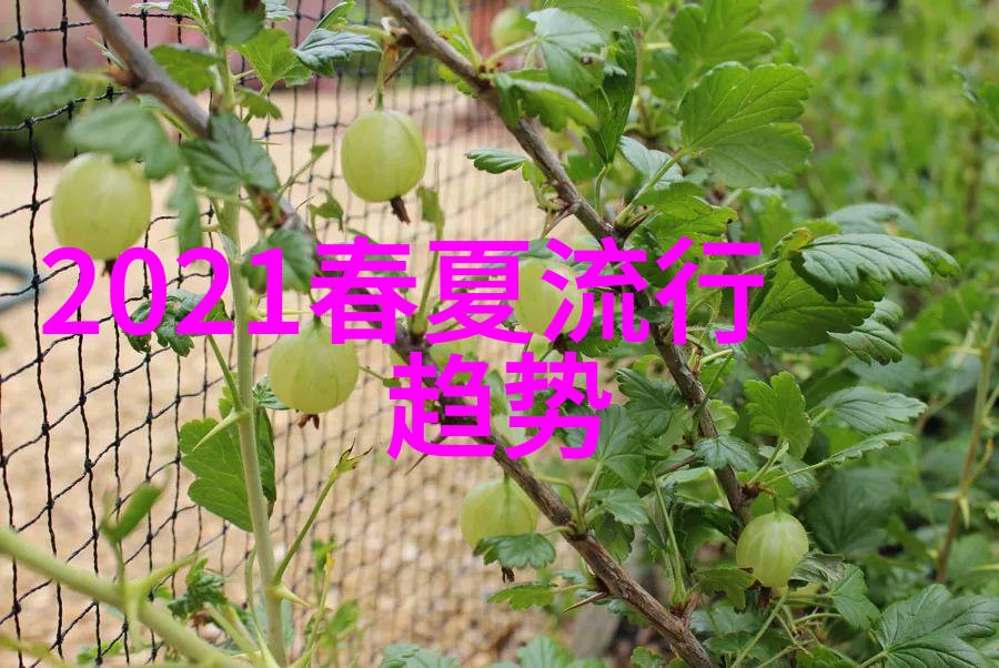匹配度悖论-爱情中的相似与差异寻找完美的不可能平衡