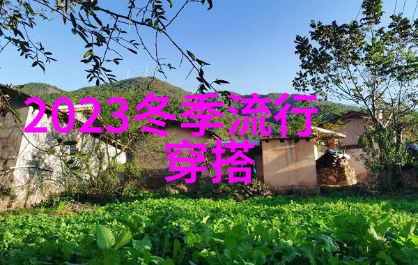 不离不弃全集爱的无声诗篇