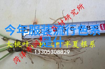 1区2区3区4区产品不卡码我的购物秘籍