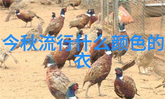 男孩子把淦男孩子弄哭的部位泪水中的无助与委屈