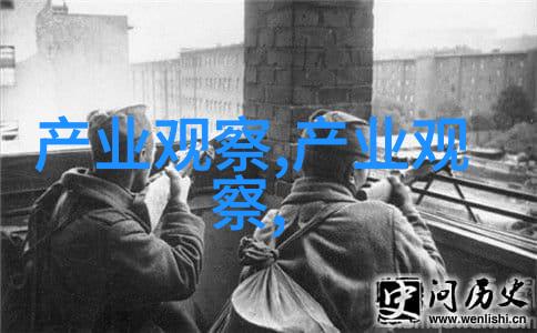 二哈在狼群里疯狂造谣网络流行语中的忠实伙伴与虚假信息的传播