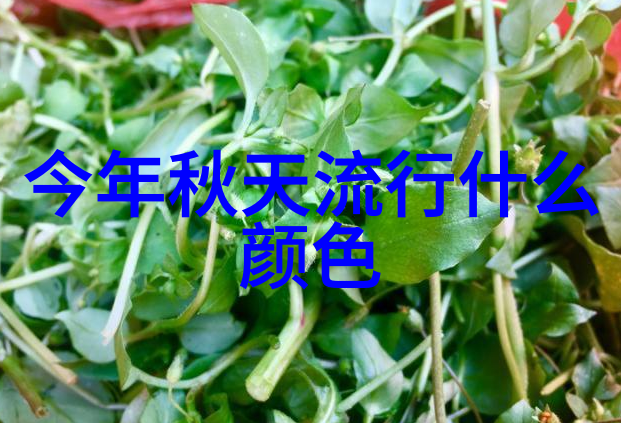 止渴1v 1骨科医疗界的生存战役