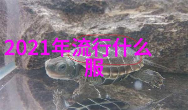 蜜芽忘忧草老狼二区欢迎您