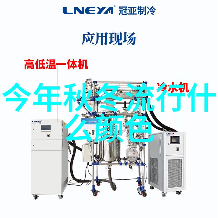 无尽沉沦穿越末日的废墟寻找最后一缕光明