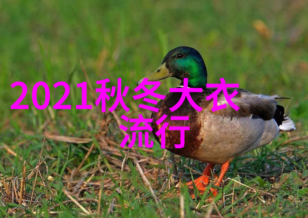 黑色牛仔裤搭配黑色长袖展现2020冬季男士时尚的酷炫与飒爽