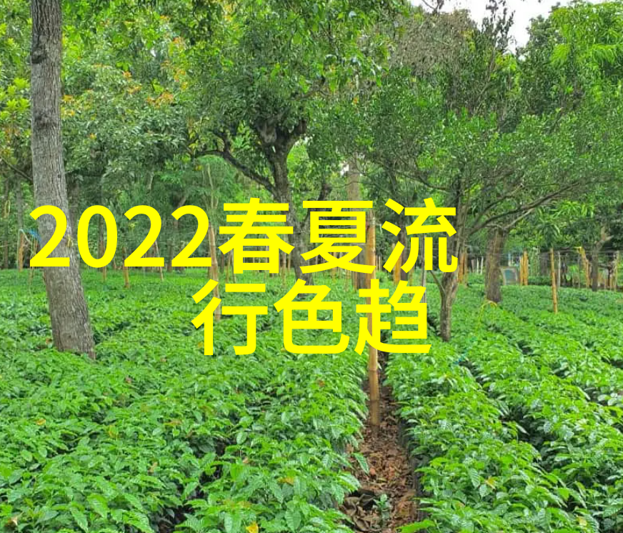 律师皇后专业女性法律专家