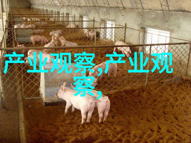 以太智能第三个币2021冬季女生穿搭新潮物品横空出世