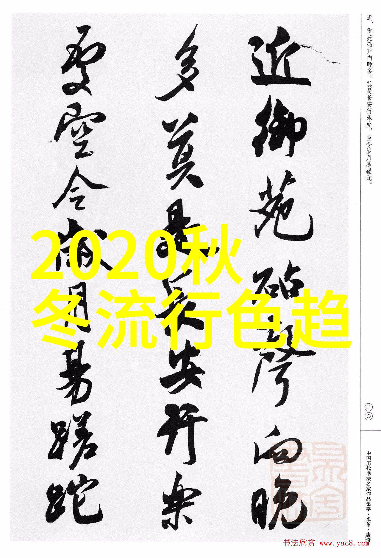 沉浸在温暖的触摸中C的过程细节