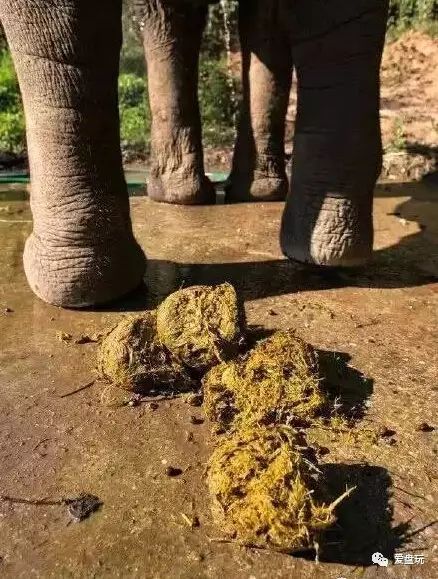 双人床上打扑克视频全程亲密伴侣游戏时光