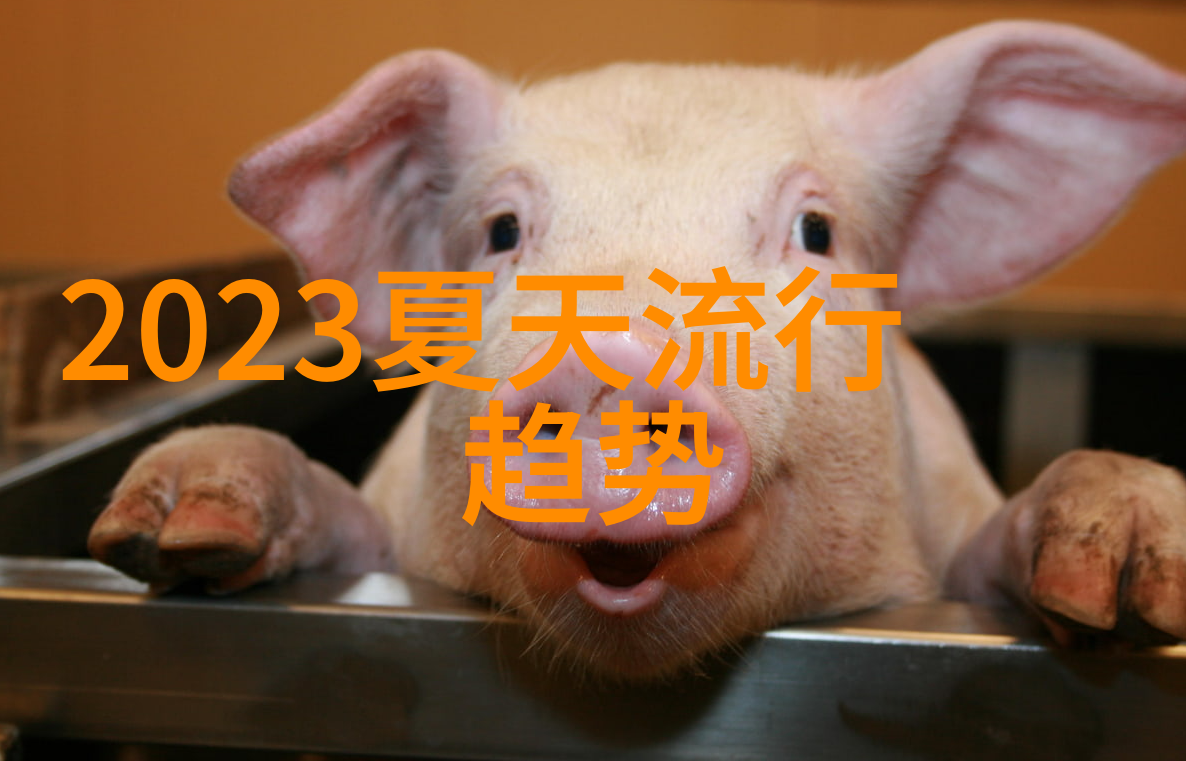 月下独酌唯我心中明月珰的诗篇