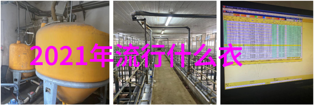 倾心不怕晚我愿意陪你慢慢品味人生
