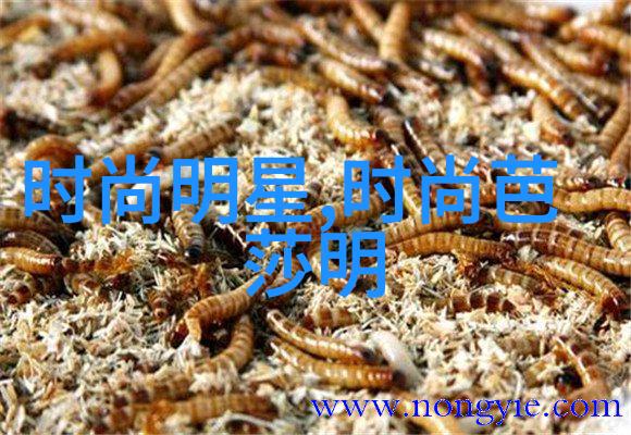 老扒抱着陈红走进卧室导演-爱情与电影老扒的不经意引领