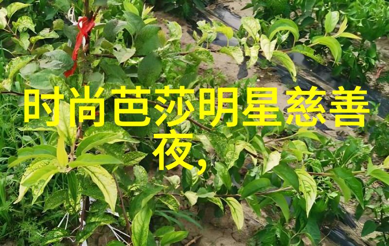 向日葵视频app下载网站进入站长统计我的小秘密大揭秘