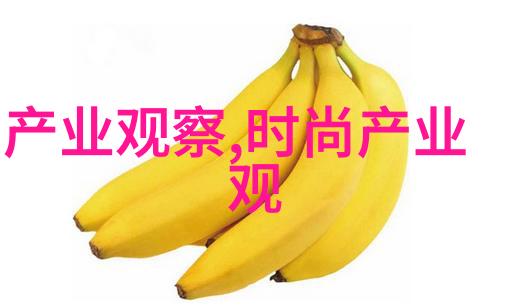 七英俊编织历史的传奇