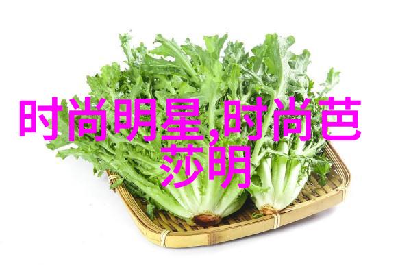 探秘日本zljzljzlj精品解锁传统工艺与现代魅力
