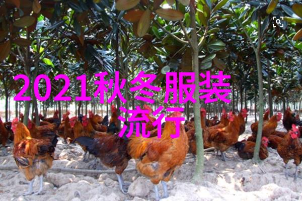 潮流单品半身纱裙与时尚鞋搭配大师课图解