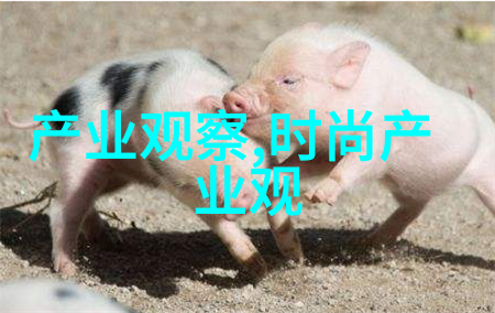 班花的兔子好软水好多好好吃温暖的小动物与美味的果实