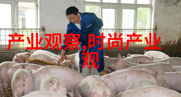 爱情插曲女人和男人的温馨对唱视频精选