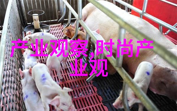 经典与创新并存2021春季男士穿搭指南