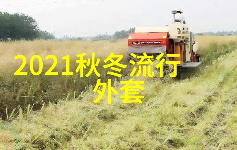 小宋佳是如何用一副耳坠发在2021年的半身裙春夏时节中轻松提升颜值的不动刀不浓妆只需这一招就能让你焕