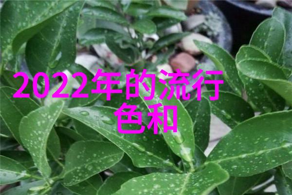瑰夏1V2H逆袭与爱情的交错之旅