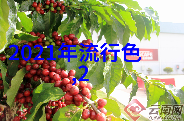 2021流行图案元素探索那一年的审美密码与文化涵义
