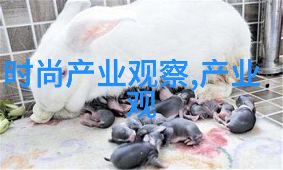 班长趴下让我C了一节课作文视频班级管理学生自律创意教学法