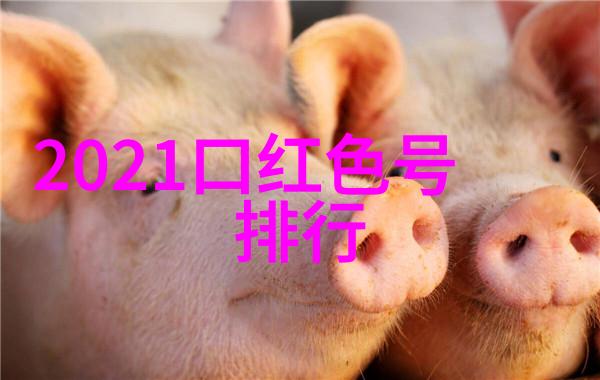 小宝寻花一段温暖心灵的视频播放