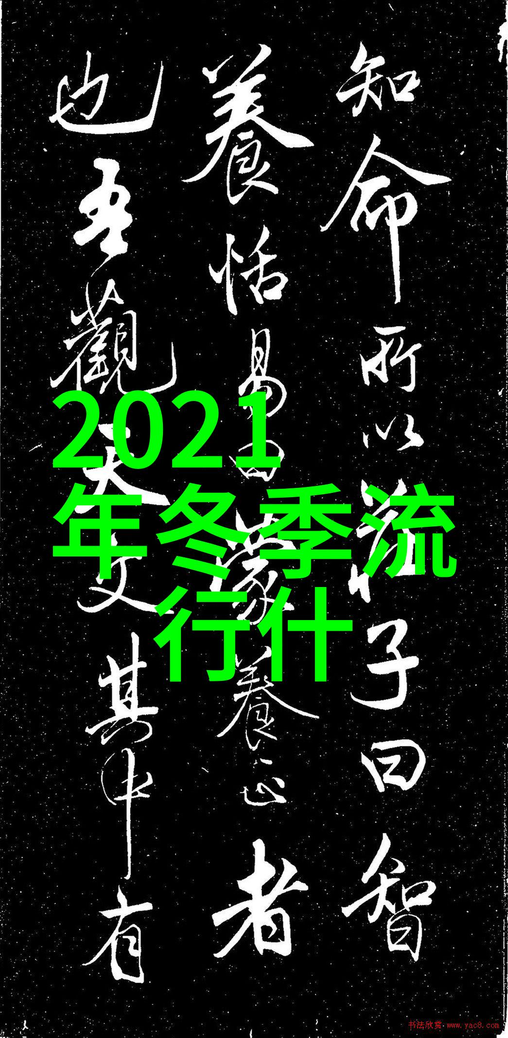 周迅高圣远蜜月归来现身机场背的是什么包