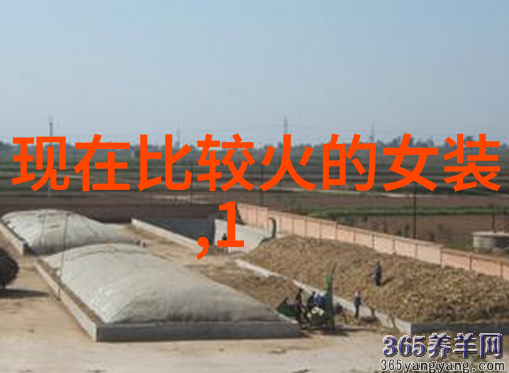 公交车缓慢而有力的C-城市的脉搏公交车缓慢而有力的C