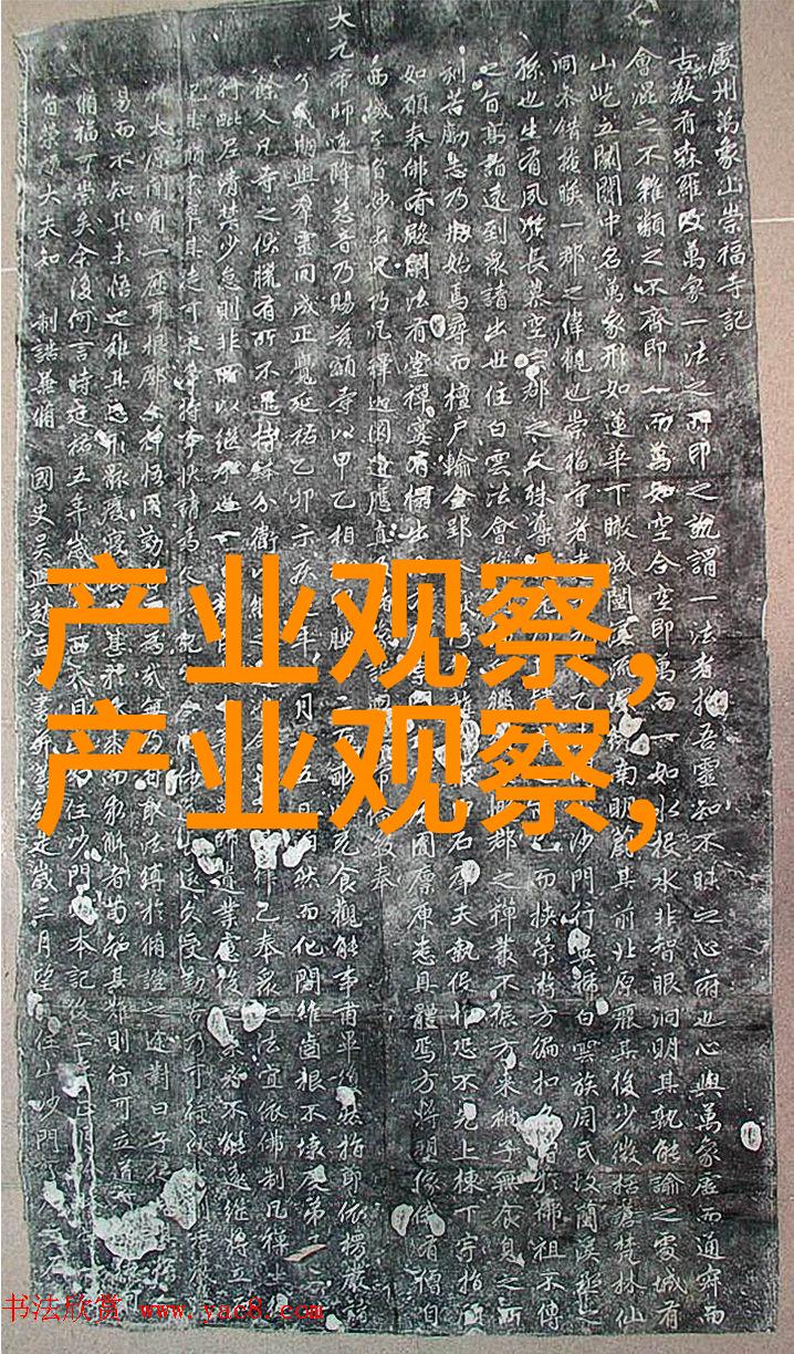 2021年秋冬女装流行趋势我爱的时尚披风蕾丝和大码潮流如何打造你的完美秋冬新LOOK