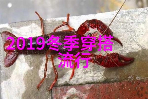 流年似水2020最流行的发型之美