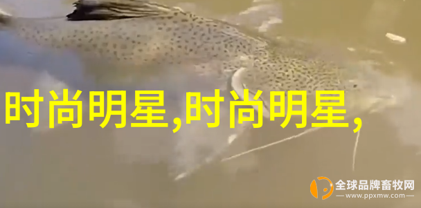 小说失婚-爱情的错位