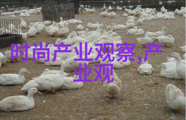 笑傲宫廷冲喜小傻妃的逆袭