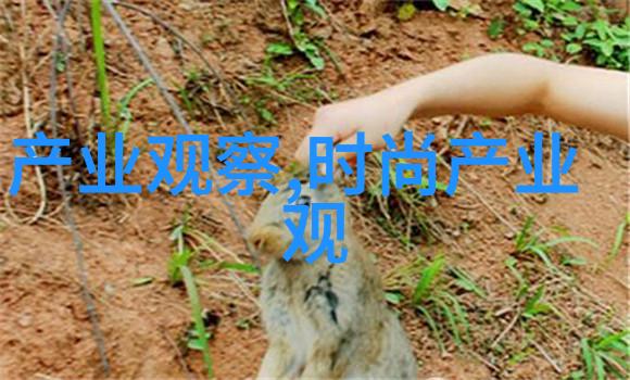 亲密接触下的保养秘籍揭秘一面亲一面膜下的视频之魅力
