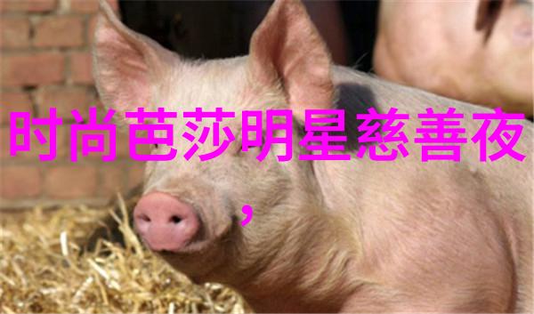 盛夏光年txt我的宇宙之旅从少年到男人