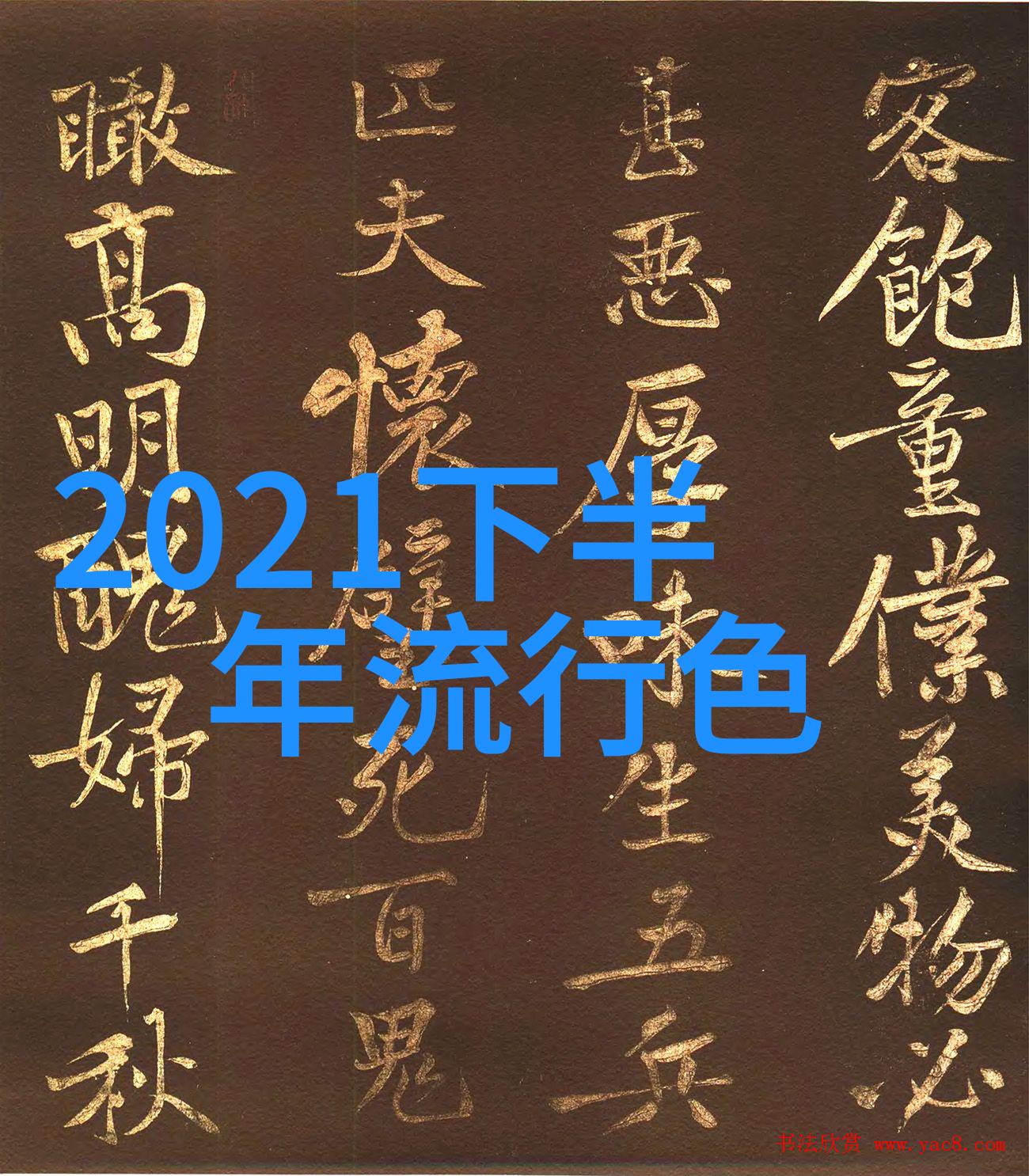 探索岳飞精神的深度肥水一体的智慧与担当