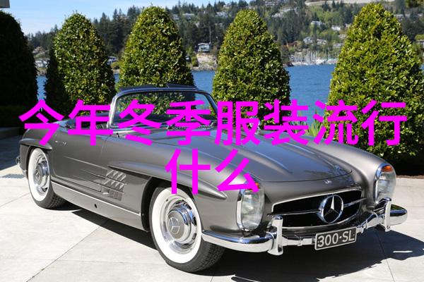 角色扮演系统npn赵青蔓的奇幻冒险